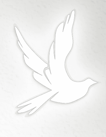 Evelyn Margaret (Shaffer) Conto Obituary